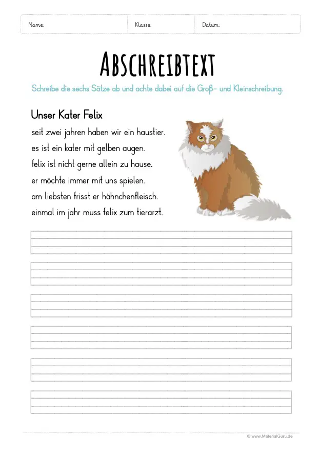 Arbeitsblatt: Text abschreiben - Unser Kater Felix