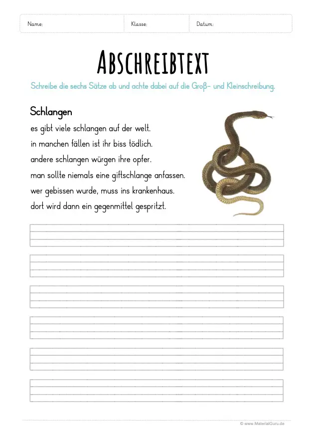 Arbeitsblatt: Text abschreiben - Schlangen