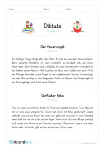 Diktate - MaterialGuru
