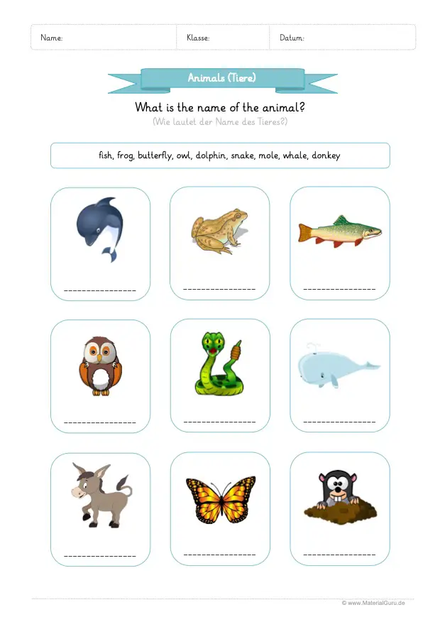 Arbeitsblatt: Abbildungen Tiere auf Englisch benennen