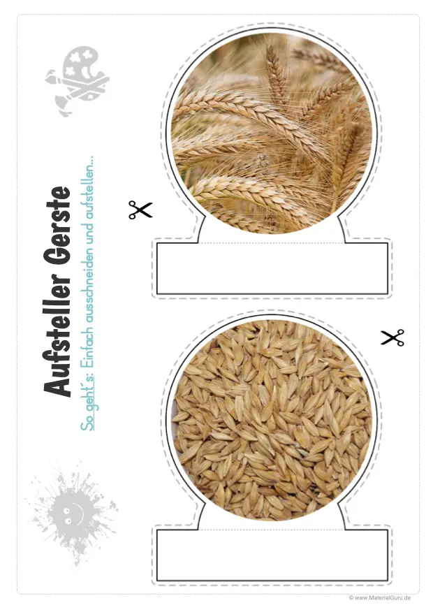 Gerste Kostenloses Unterrichtsmaterial