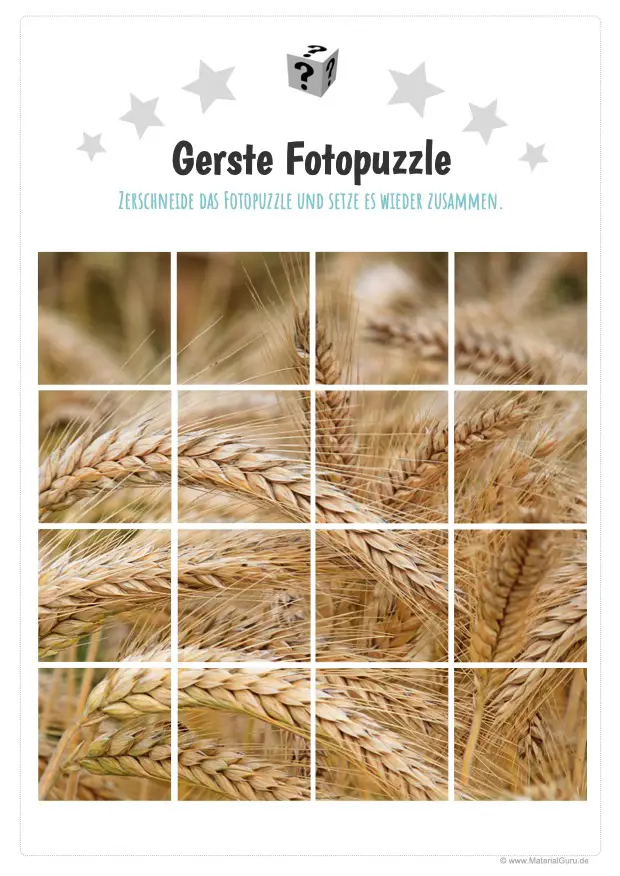 Arbeitsblatt: Gerste Fotopuzzle