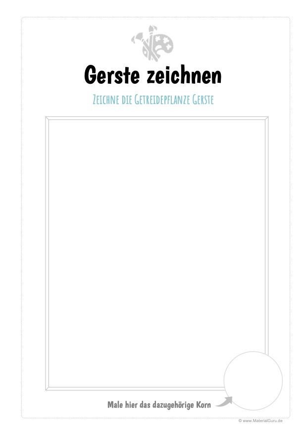 Arbeitsblatt: Gerste zeichnen