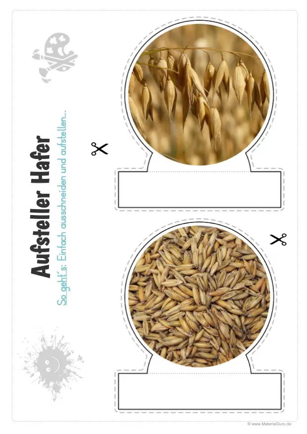 Hafer Kostenloses Unterrichtsmaterial