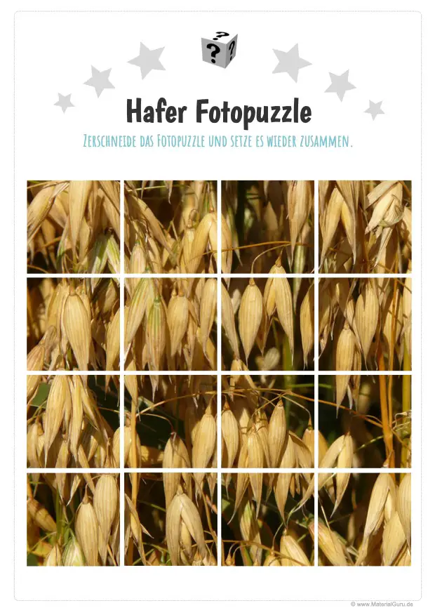 Arbeitsblatt: Hafer Fotopuzzle