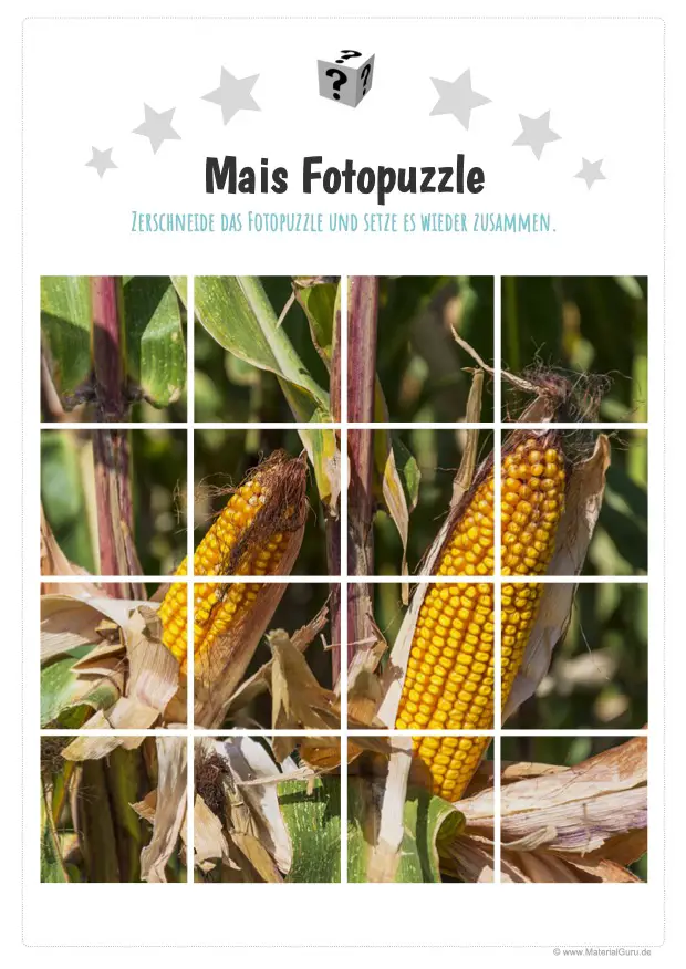 Arbeitsblatt: Mais Fotopuzzle