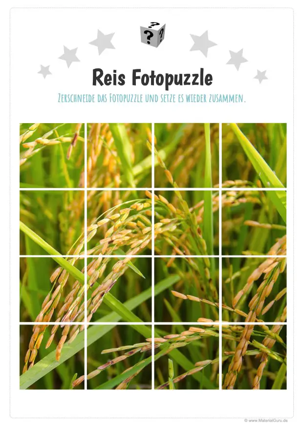 Arbeitsblatt: Reis Fotopuzzle