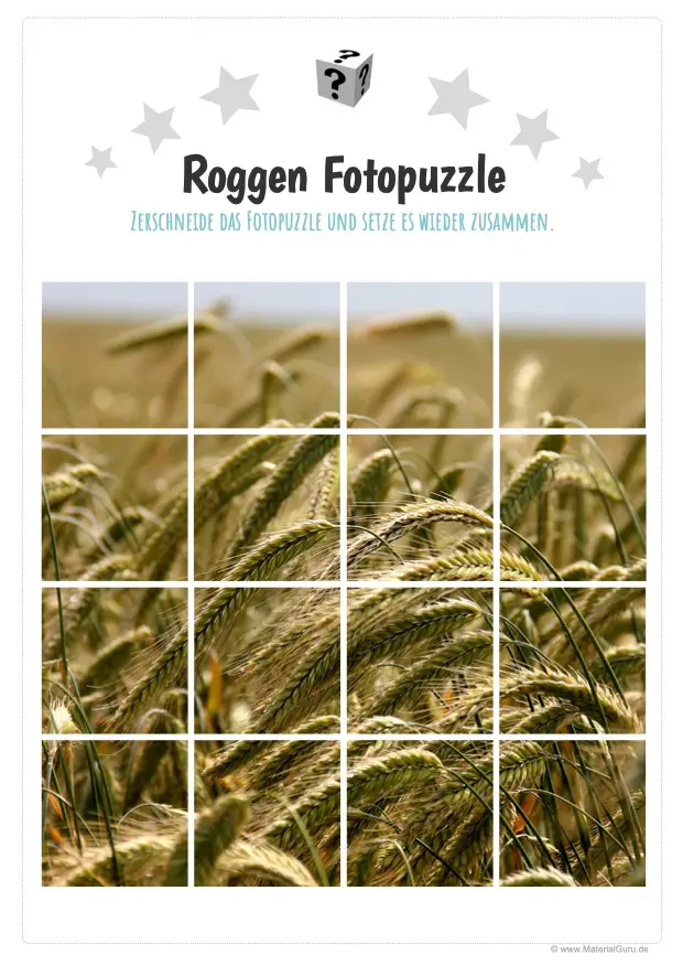 Arbeitsblatt: Roggen Fotopuzzle