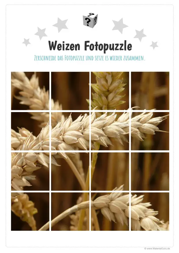 Arbeitsblatt: Weizen Fotopuzzle