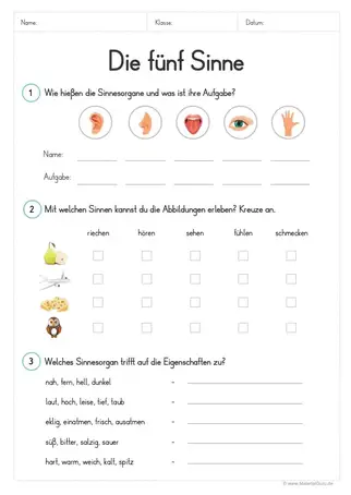 Die 5 Sinne Materialguru