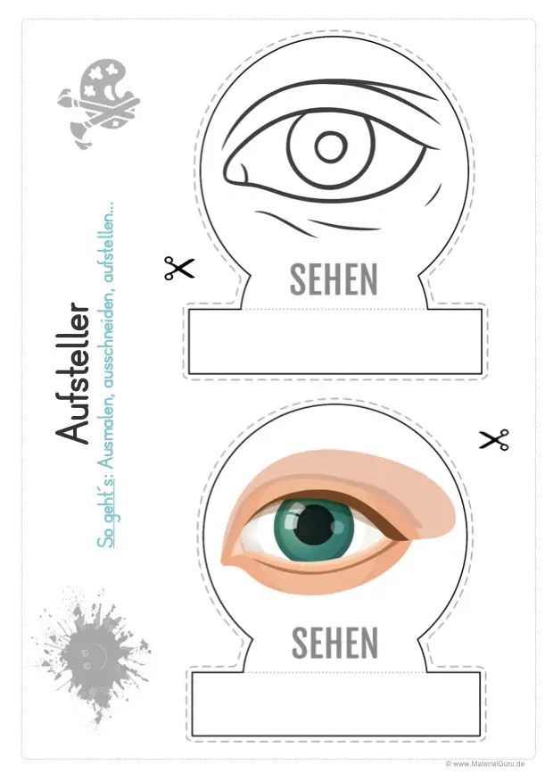 Arbeitsblatt: Aufsteller Sinnesorgan - Das Auge - Sehen (Sehsinn)