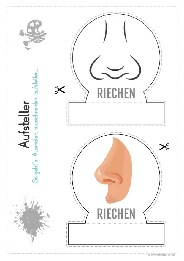 Arbeitsblatt: Aufsteller Sinnesorgan - Die Nase - Riechen (Geruchssinn)