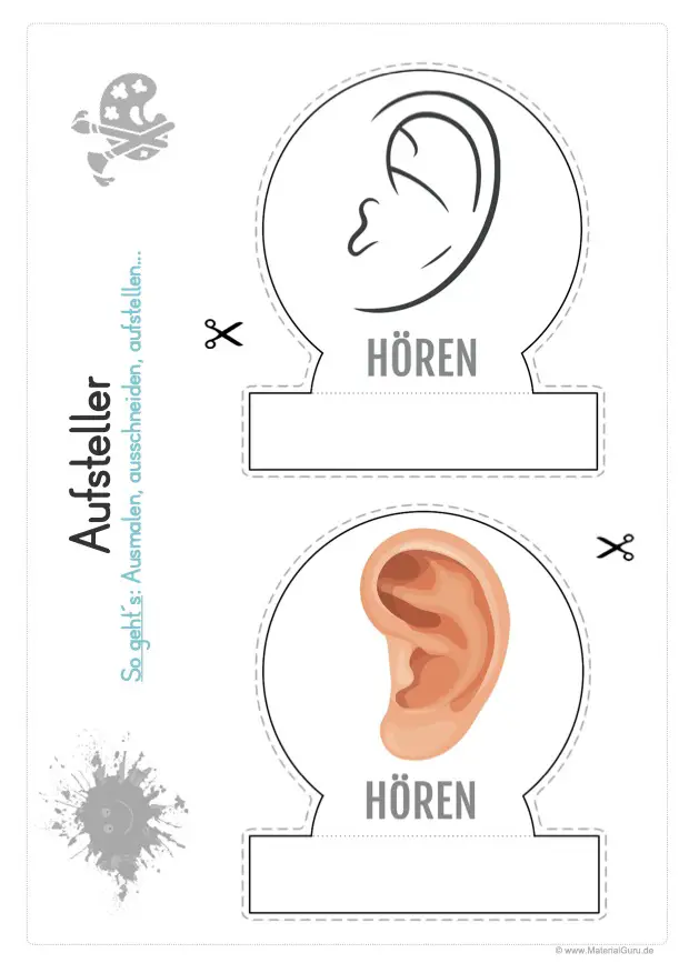 Arbeitsblatt: Aufsteller Sinnesorgan - Das Ohr - Hören (Hörsinn)