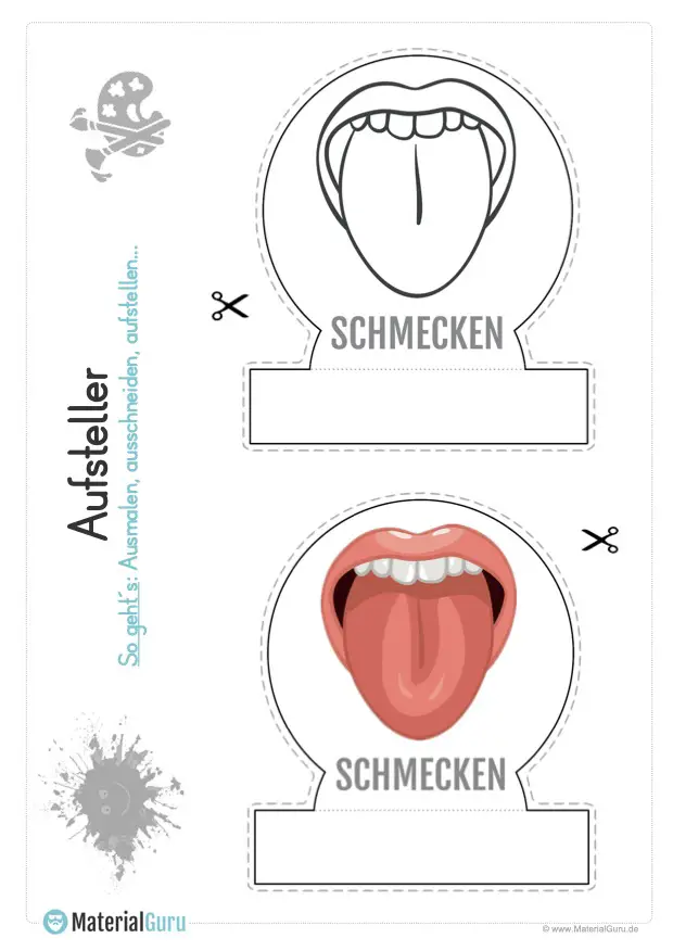 Arbeitsblatt: Aufsteller Sinnesorgan - Die Zunge - Schmecken (Geschmackssinn)