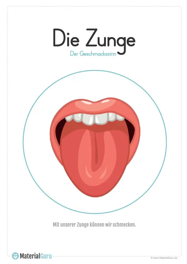 Arbeitsblatt: Plakat Sinnesorgan - Die Zunge - Schmecken (Geschmackssinn)
