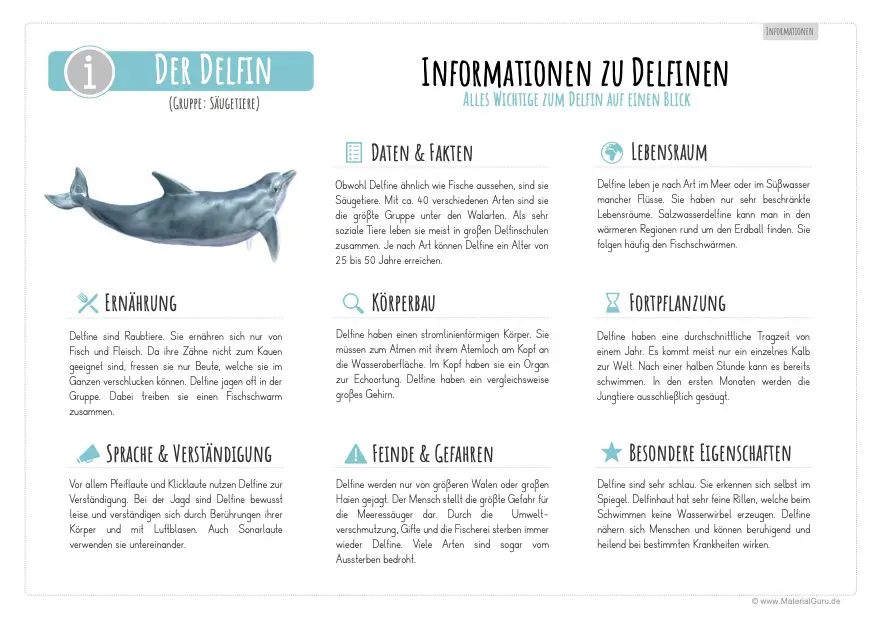 Arbeitsblatt: Informationen über Delfine