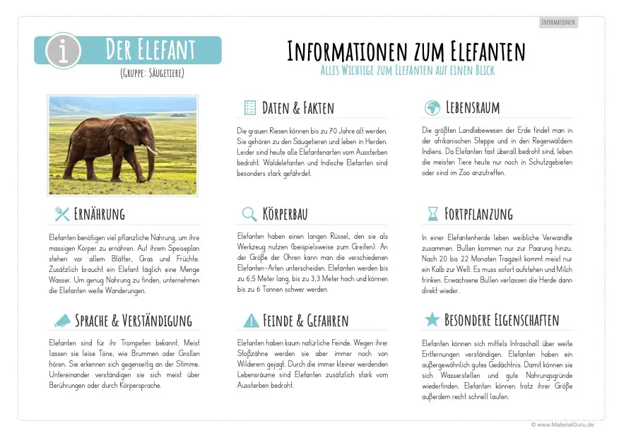 Arbeitsblatt: Informationen über Elefanten