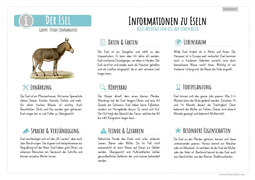 Arbeitsblatt: Informationen über den Esel