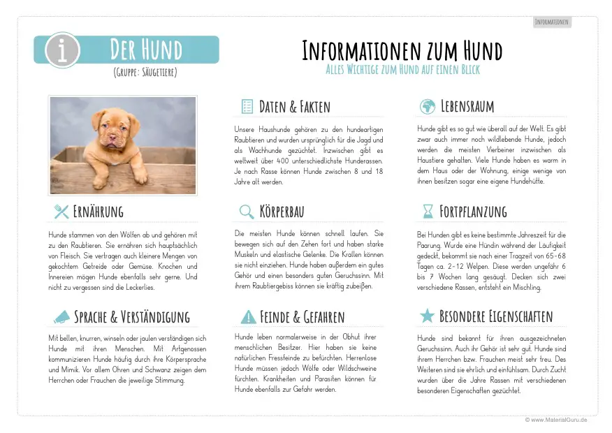 Arbeitsblatt: Informationen über Hunde