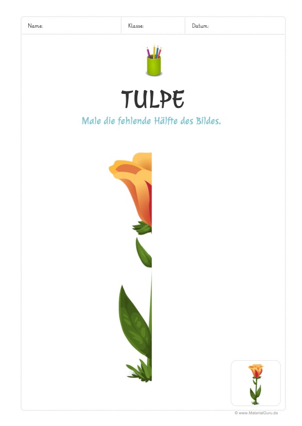 Arbeitsblatt: Tulpe zu Ende zeichnen