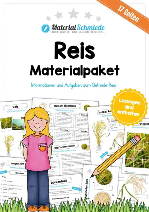 MaterialPaket: Reis