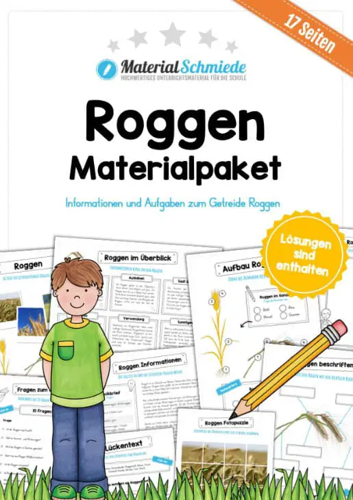MaterialPaket: Roggen