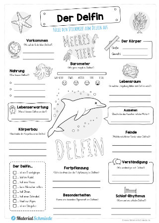 Steckbrief Delfin