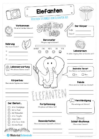 Steckbrief Elefant