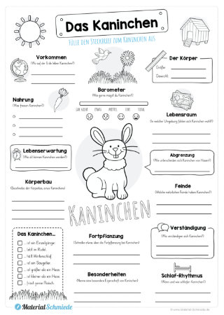 Steckbrief Kaninchen